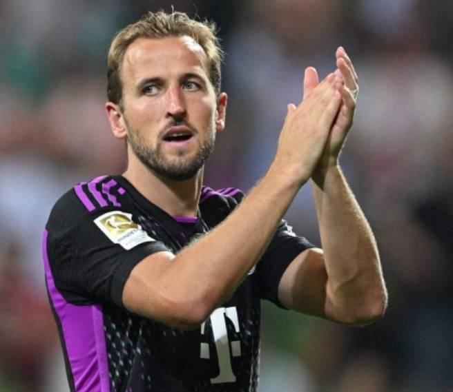 粉丝基础 粉丝基础