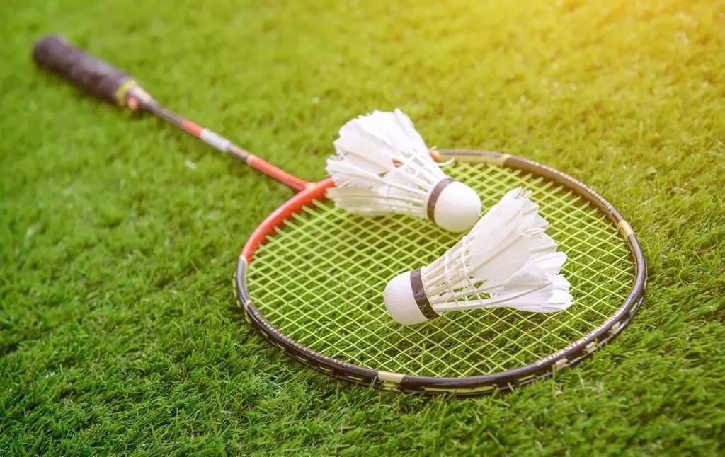 哈奇在内的 哈奇在内的